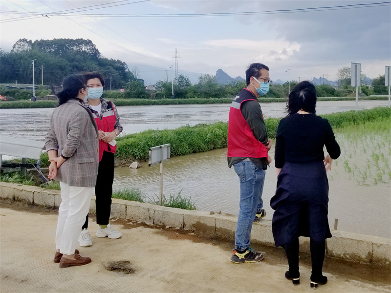 赴大米种植基地调研（罗茂坚摄）.jpg